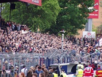 Pauli vs HSV2 05-06 052